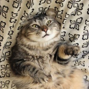 Meet your Posher, Glen